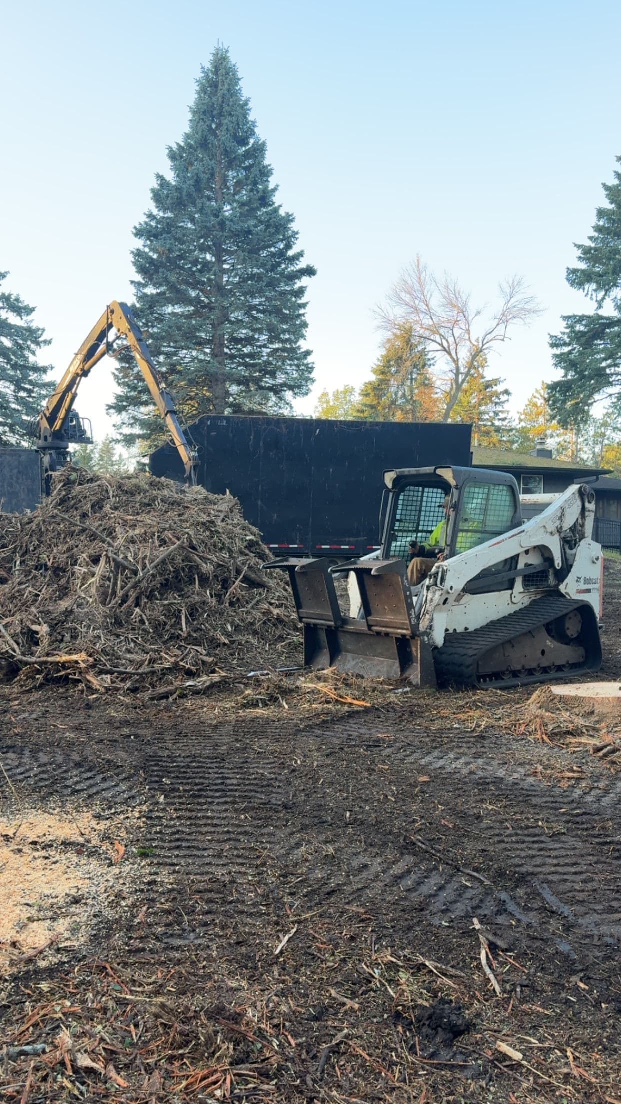 Gallery photos for Heavy Equipment and Hands-On Work Behind Every Tree Job: Image #2