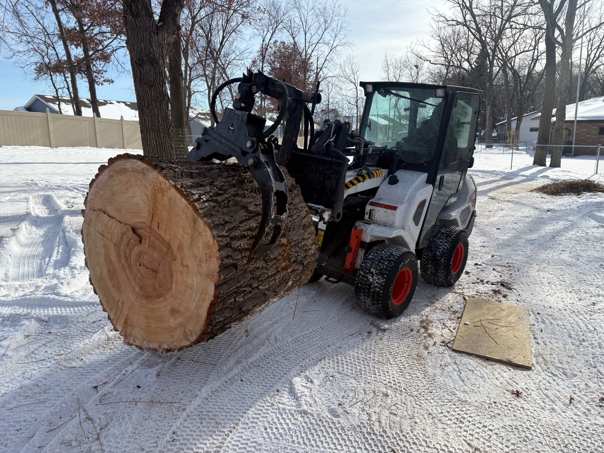 Heavy Equipment and Hands-On Work Behind Every Tree Job image